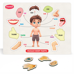 Chanak 4-in-1 Wooden Educational Puzzle Combo – Human Body, Alphabet, Vegetables & India Map – Montessori Learning Set for Toddlers & Preschoolers Age 2+ Aditi Toys Pvt. Ltd.
