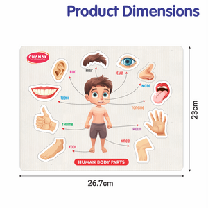 Chanak 4-in-1 Wooden Educational Puzzle Combo – Human Body, Alphabet, Vegetables & India Map – Montessori Learning Set for Toddlers & Preschoolers Age 2+ Aditi Toys Pvt. Ltd.