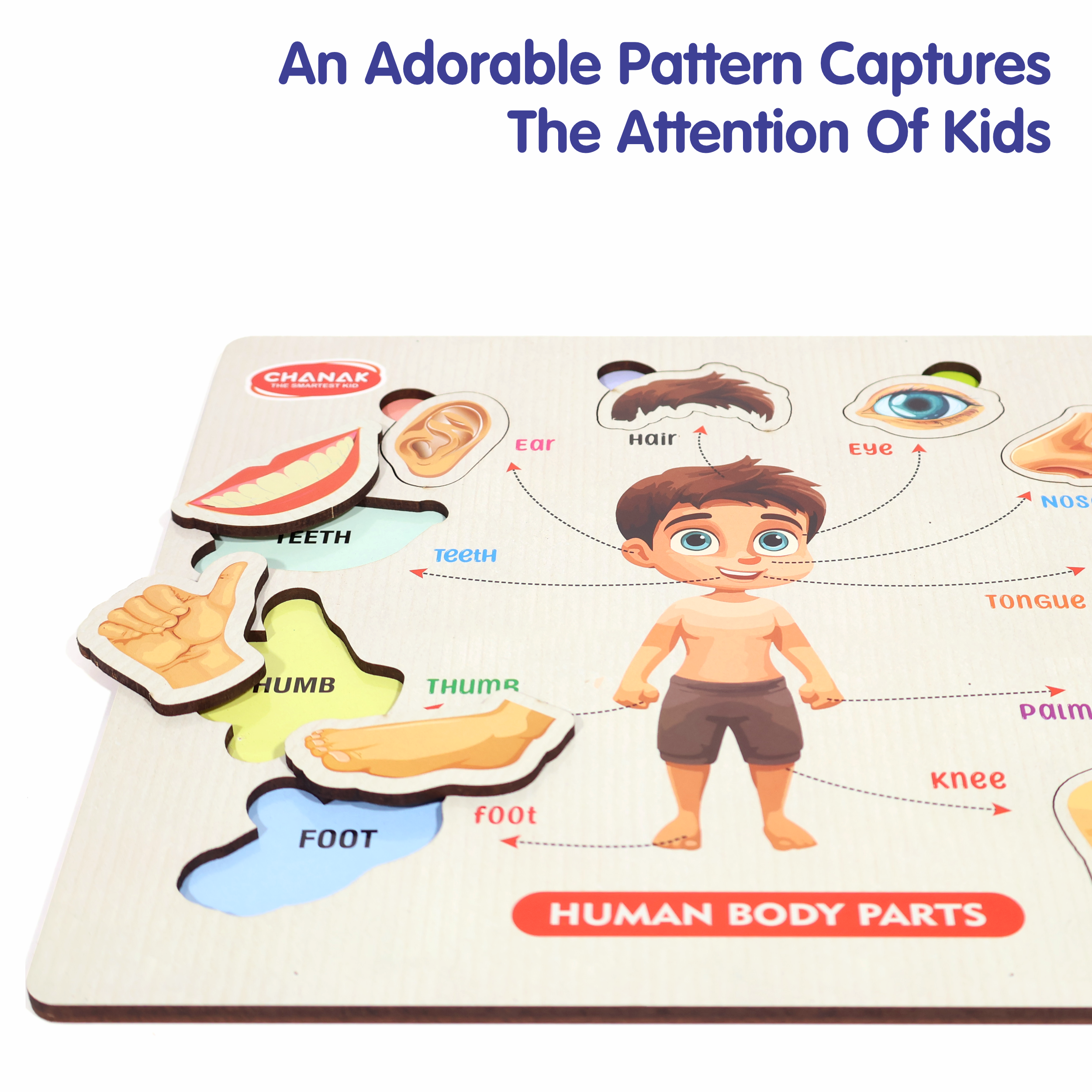 Chanak 4-in-1 Wooden Educational Puzzle Combo – Human Body, Alphabet, Vegetables & India Map – Montessori Learning Set for Toddlers & Preschoolers Age 2+ Aditi Toys Pvt. Ltd.