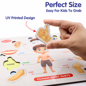 Chanak 4-in-1 Wooden Educational Puzzle Combo – Human Body, Alphabet, Vegetables & India Map – Montessori Learning Set for Toddlers & Preschoolers Age 2+ Aditi Toys Pvt. Ltd.