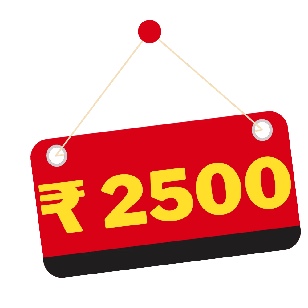 Toys Under ₹2500 - chanak