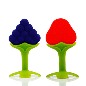 Chanak Baby Silicone Fruit Teether for Toddlers (Red & Blue) - chanak