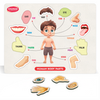 Chanak 4-in-1 Wooden Educational Puzzle Combo – Human Body, Alphabet, Vegetables & India Map – Montessori Learning Set for Toddlers & Preschoolers Age 2+ Aditi Toys Pvt. Ltd.