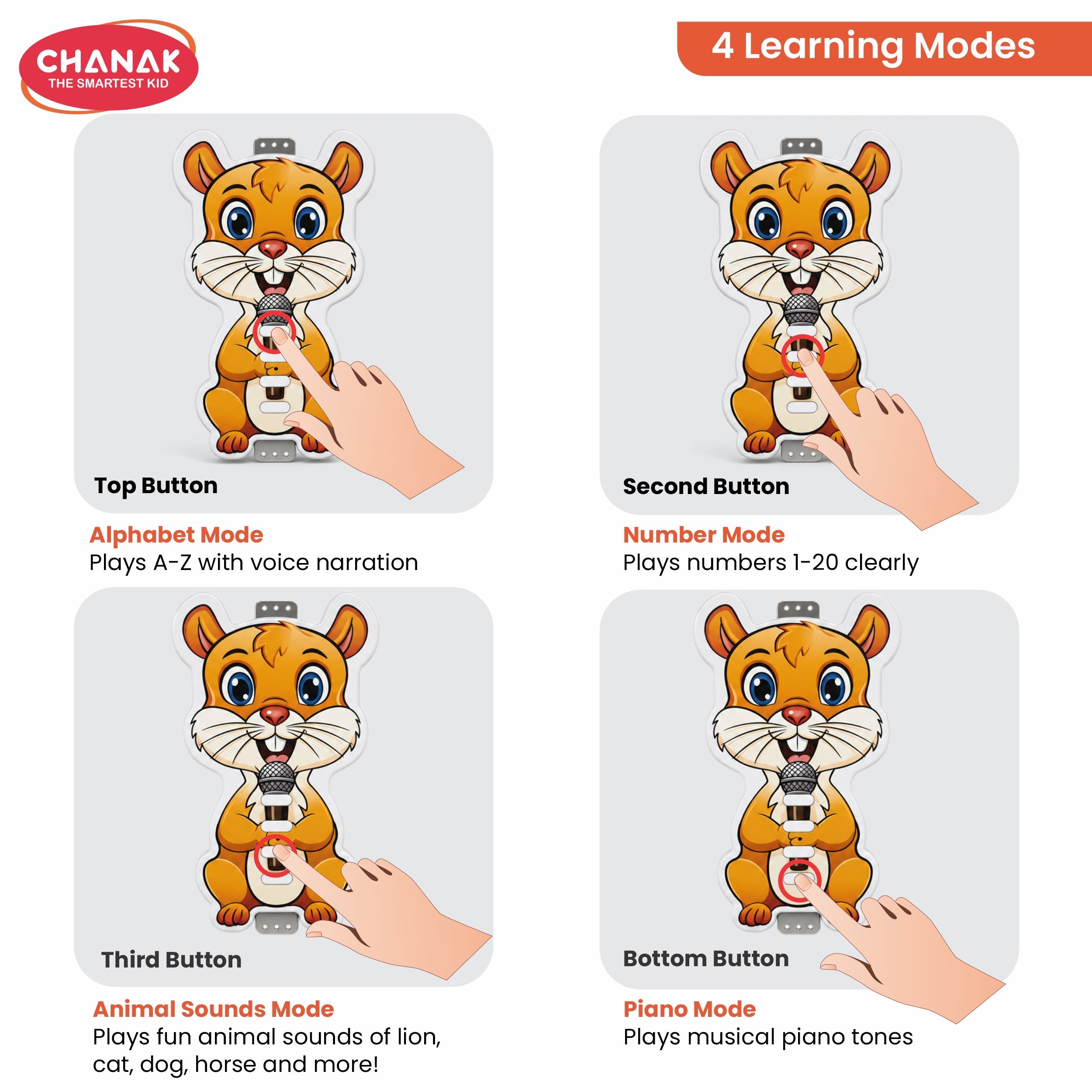 Chanak Squirrel Musical Toy With Sound & Light For Boys & Girls 3+ Age chanak